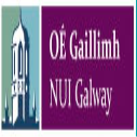 College of Science and Engineering Scholarships for East Asian Students in Ireland
